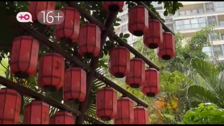 Новая любовь