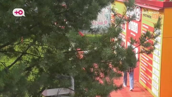 Любовь в сити